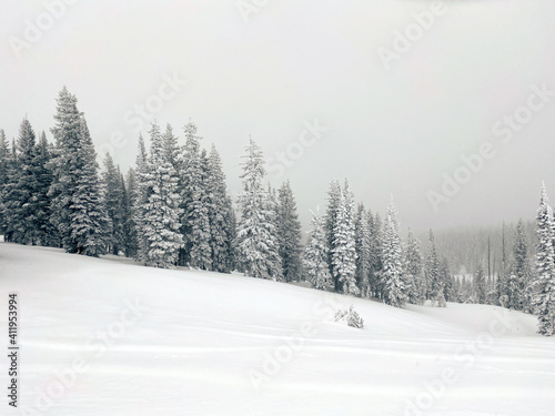 Winter landscape in Steamboat Springs Colorado