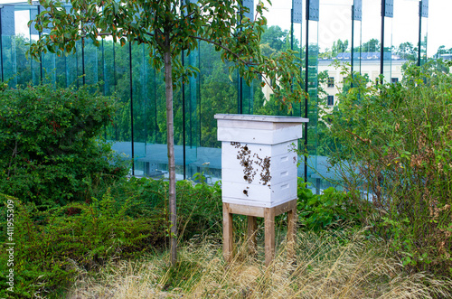 Beehive on roof of the building