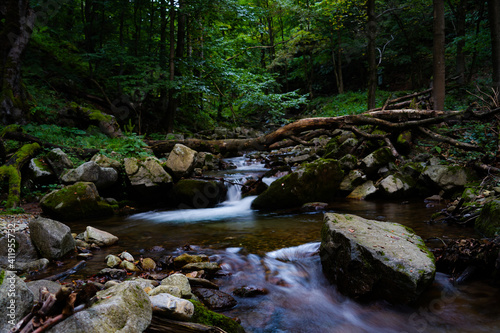 waterfall in the forest