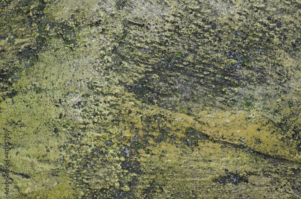 Texture of old gray concrete wall for background Texture of old gray concrete wall for background