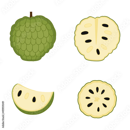 Sugar apple, whole fruit, slice. Ripe cherimoya (custard apple). Annona, vector illustration