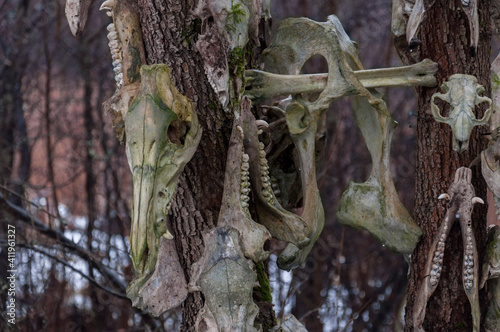 Bone totem in the middle of the forest