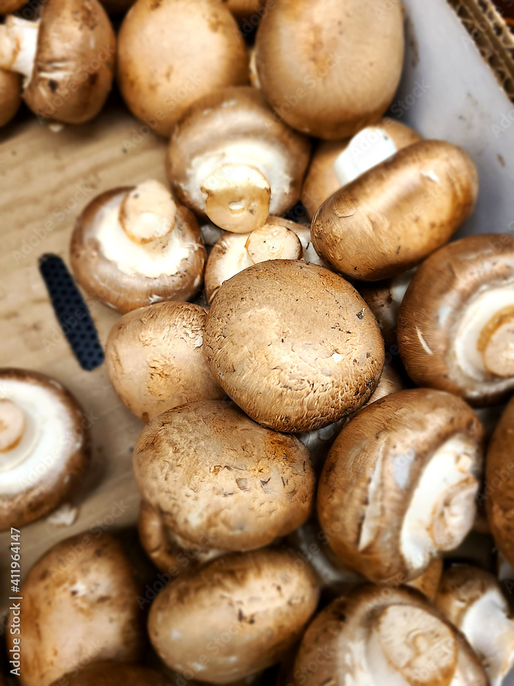 mushrooms in box mushrooms in box