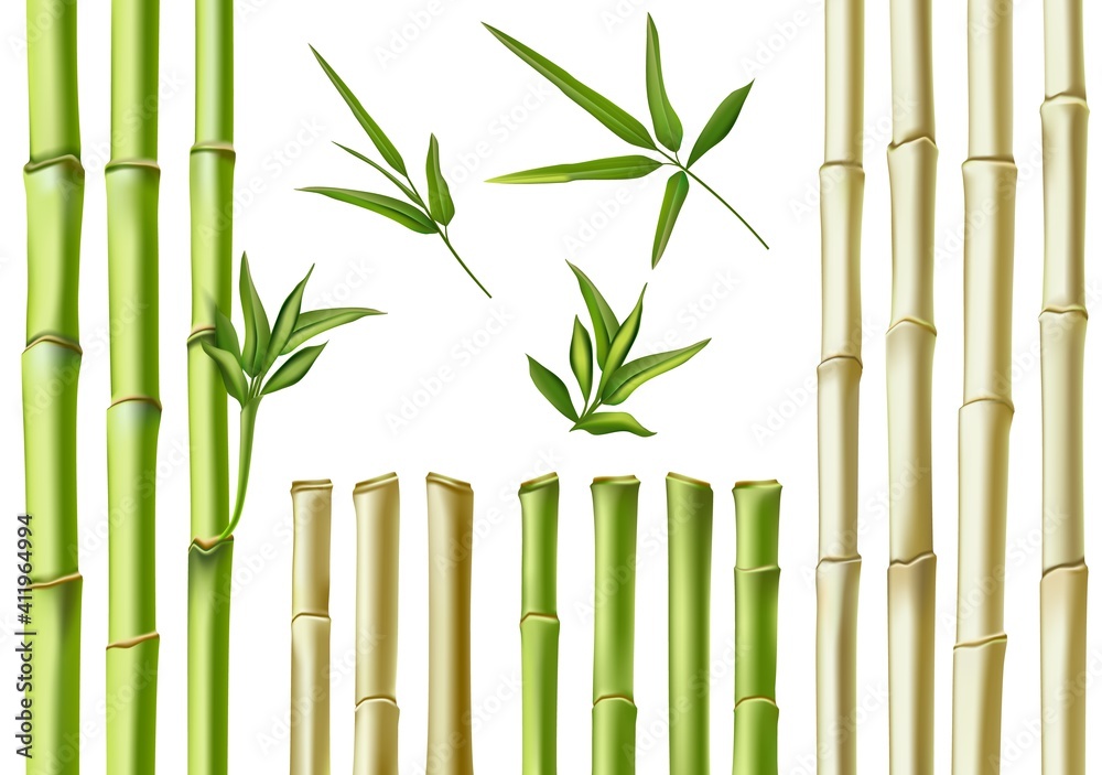 Fototapeta premium Realistic bamboo sticks. 3d green and brown branches, stem and leaves. Nature botanical hollow canes. Asian bamboo eco decoration vector set. Fresh green foliage, natural, organic plants
