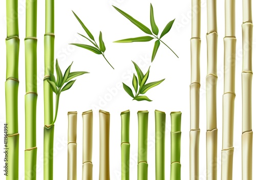 Realistic bamboo sticks. 3d green and brown branches, stem and leaves. Nature botanical hollow canes. Asian bamboo eco decoration vector set. Fresh green foliage, natural, organic plants