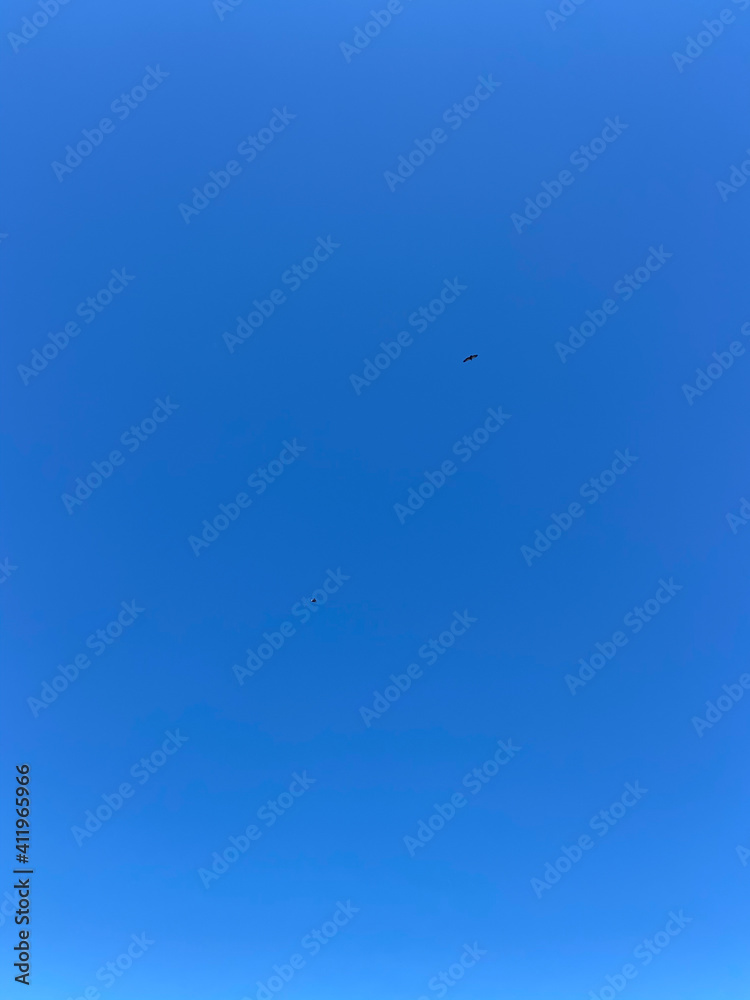 Mountain eagles flying. Predator birds hunting on Picos de Europa National Park, Potes, Spain. Mountain eagles flying. Predator birds hunting on Picos de Europa National Park, Potes, Spain.