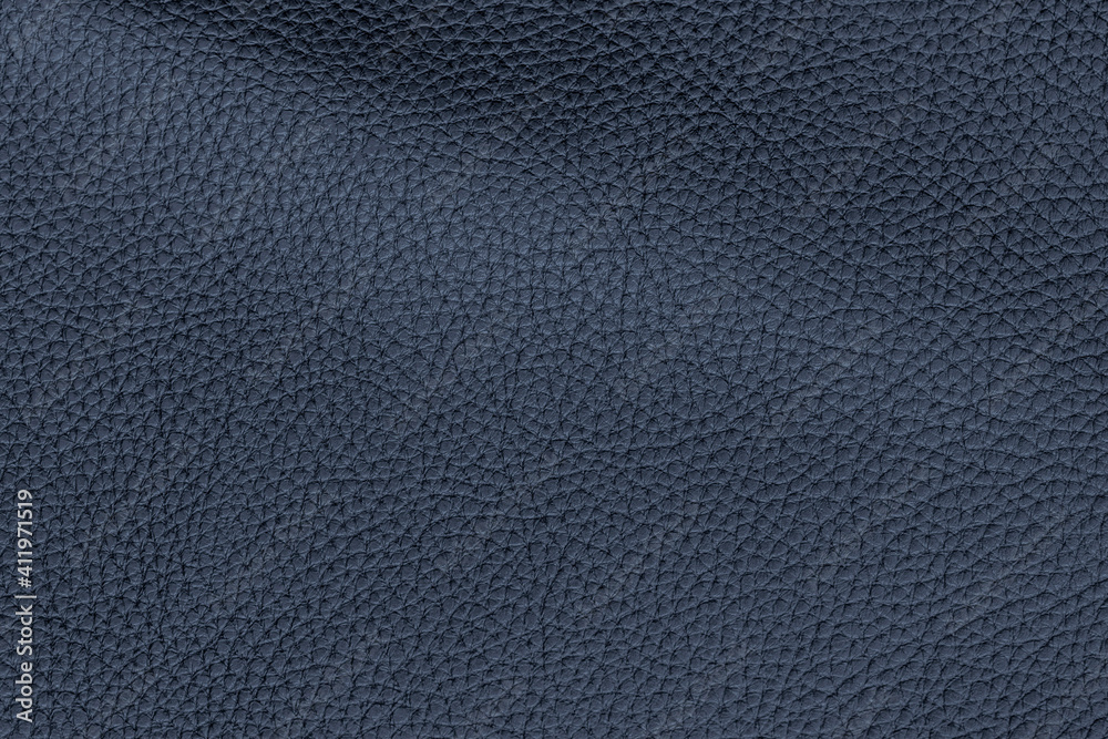 Dark blue color genuine cow hide leather. Texture close-up. Fashionable background