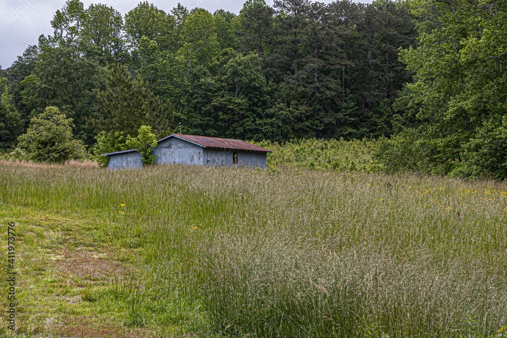 The Barn in the Field The Barn in the Field