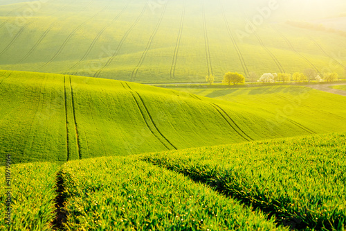 Wavy fields in agricultural area on a sunny day. Location place of South Moravian region, Czech Republic, Europe.