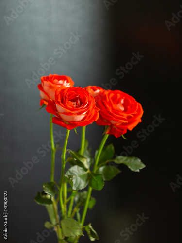 Bouquet of red roses on dark background