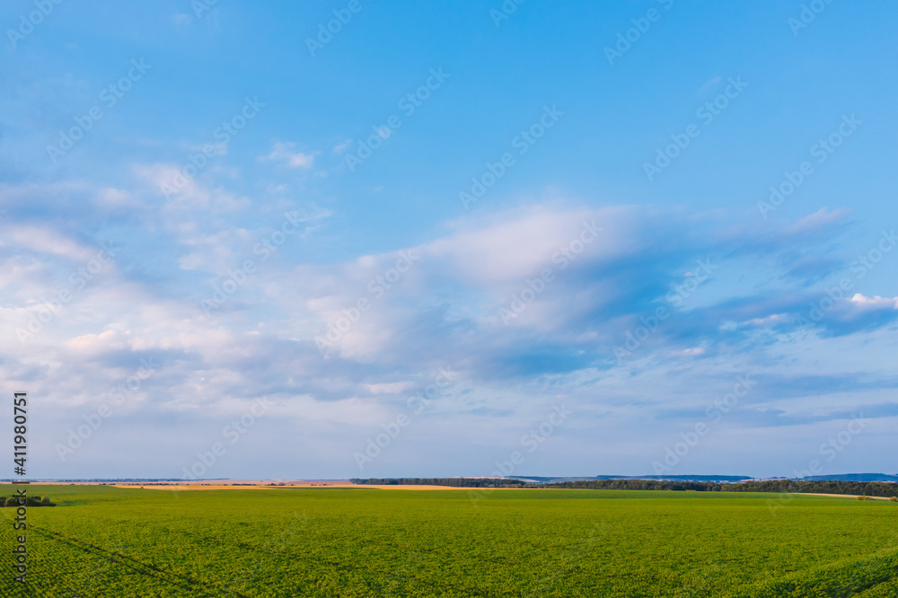 Picturesque view of green rural area in the evening. Picturesque view of green rural area in the evening.