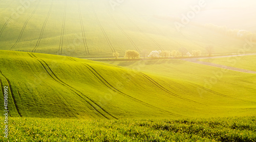 Idyllic wavy fields in agricultural area on a sunny day. Location place of South Moravian region, Czech Republic, Europe.