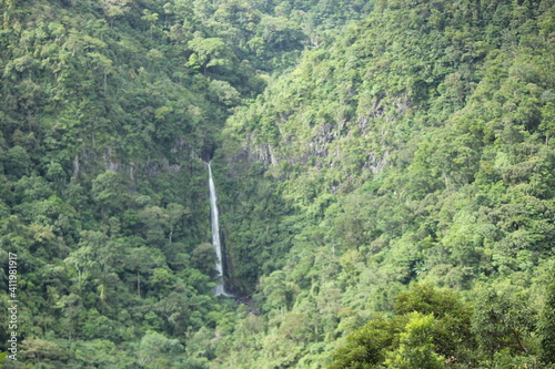Distant Jungle Waterfalls