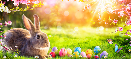 Easter - Cute Bunny In Sunny Garden With Decorated Eggs
