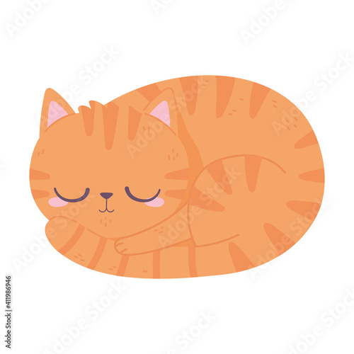 Fototapeta Naklejka Na Ścianę i Meble -  striped cat sleeping animal cartoon pet white background