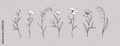 Set of Herbs and Wild Flowers. Hand drawn floral elements. Vector illustration