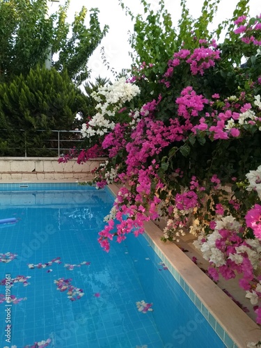 swimming pool in a resort