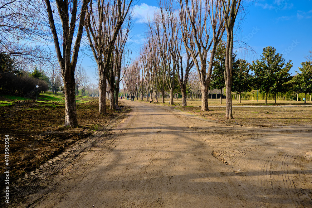 Walking paths in botanical park. Walking way is gravel and soil. Dried huge trees near the way. Autumn colors. Walking paths in botanical park. Walking way is gravel and soil. Dried huge trees near the way. Autumn colors.