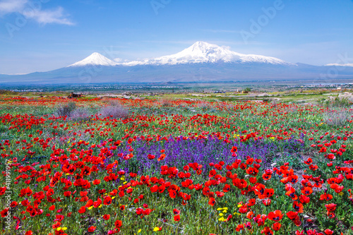 Mount Ararat (Turkey) at 5,137 m viewed from Yerevan, Armenia. This snow-capped dormant compound volcano consists of two major volcanic cones described in the Bible as the resting place of Noah's Ark.