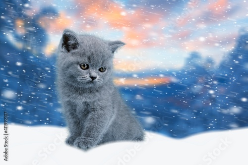 Snow.