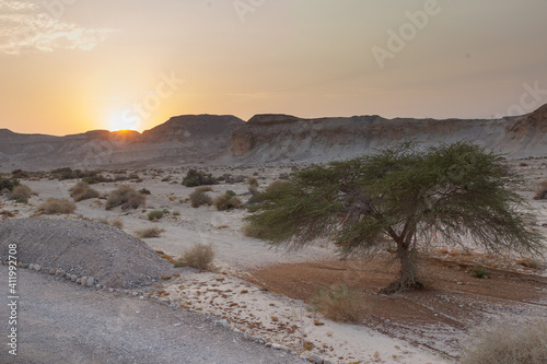 Sunset view in the desert of Israel