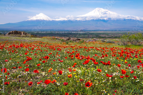Mount Ararat (Turkey) at 5,137 m viewed from Yerevan, Armenia. This snow-capped dormant compound volcano consists of two major volcanic cones described in the Bible as the resting place of Noah's Ark.