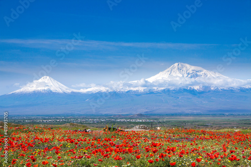 Fototapeta Naklejka Na Ścianę i Meble -  Mount Ararat (Turkey) at 5,137 m viewed from Yerevan, Armenia. This snow-capped dormant compound volcano consists of two major volcanic cones described in the Bible as the resting place of Noah's Ark.