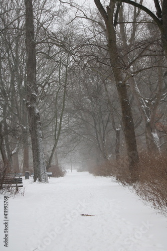 snow covered trees in the park © Christian Kaiser