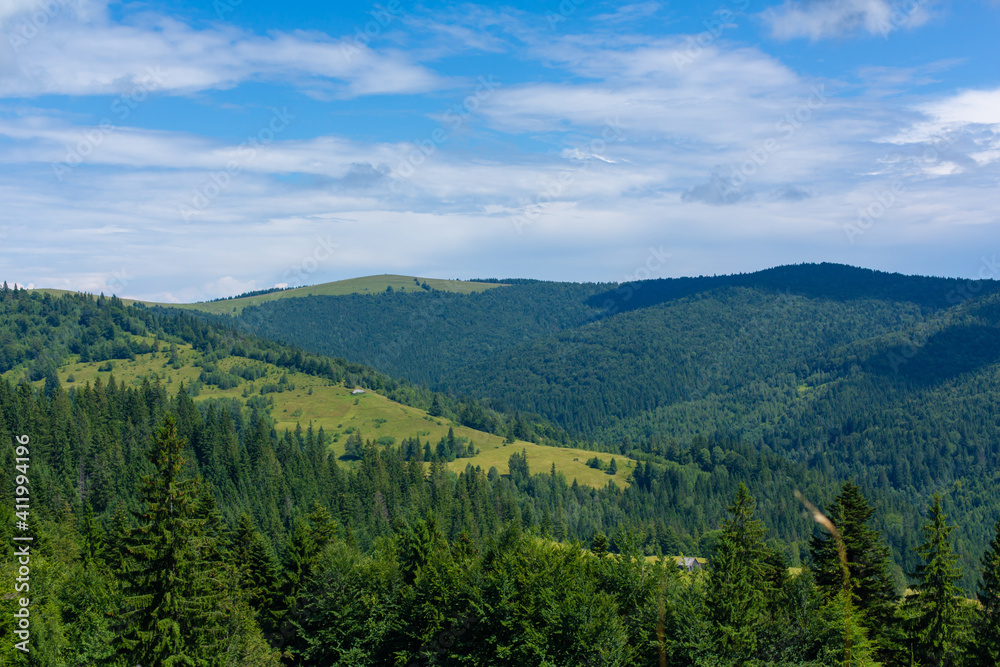 Obraz premium Summer nature landscape of Karpaty Mountains. a