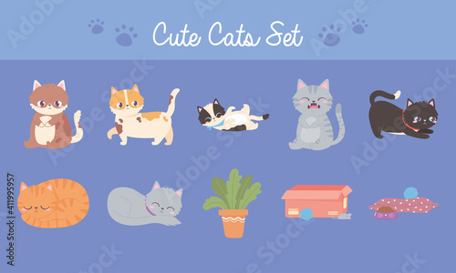 cute cats set, different feline with toys food and plant