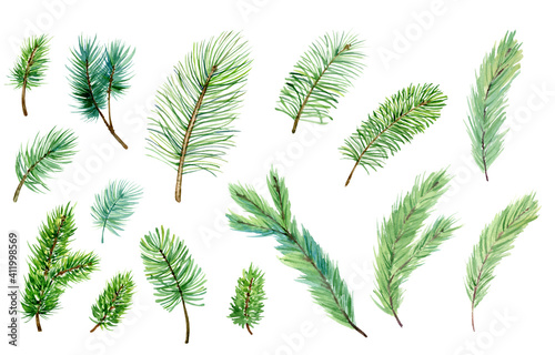 Set of watercolor evergreen branches  pine tree  fir  spruce coniferous plants  christmas decorations. Illustration isolated on white background