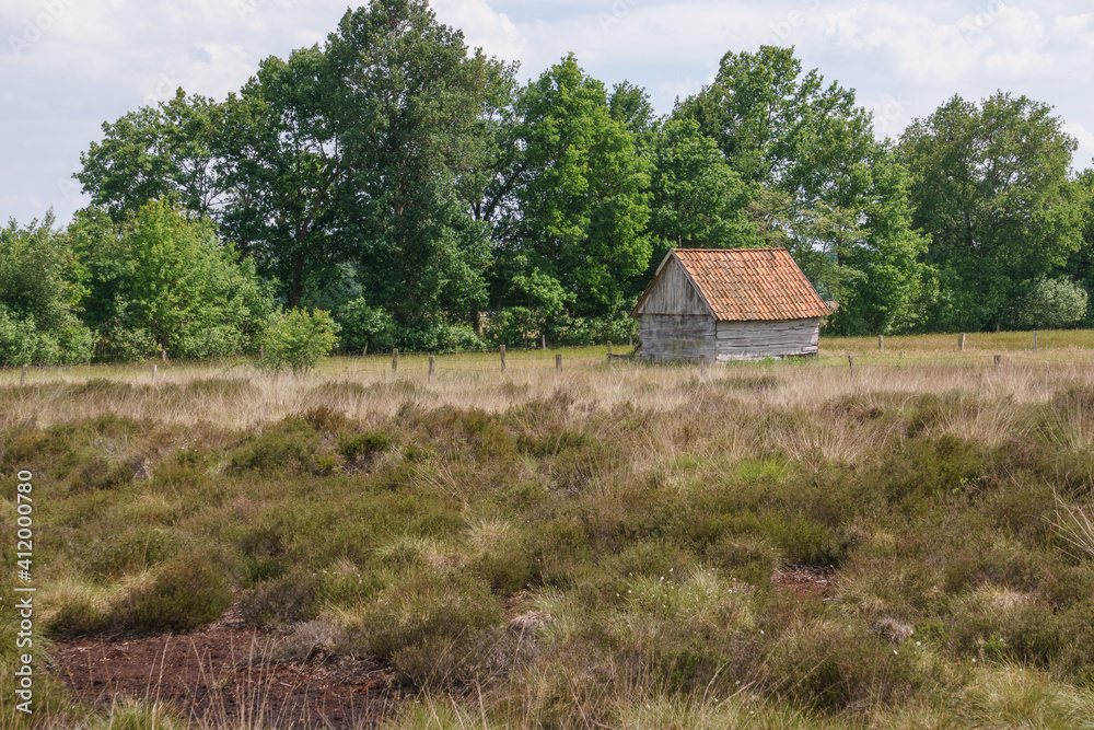 grey wooden hut in moor landscape with grass and heather in foreground, Recker Moor, Germany