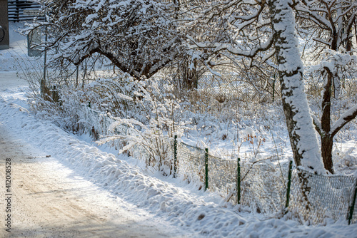 Photography snow covered trees in winter, nacka,sverige,sweden, stockholm