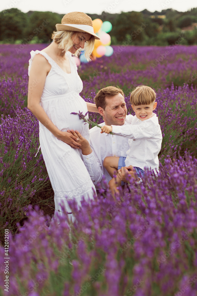 The beautiful pregnant mom with her happy family in the lavender field The beautiful pregnant mom with her happy family in the lavender field