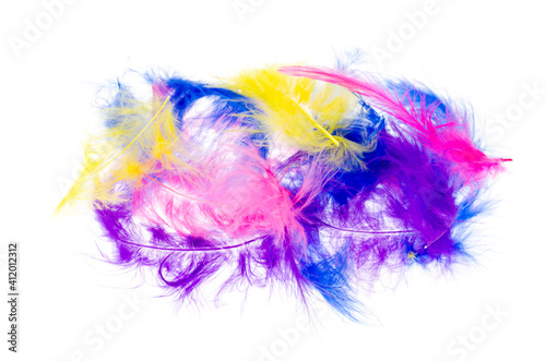 Decorative multi-colored feathers isolated on white background.