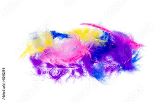 Decorative multi-colored feathers isolated on white background.
