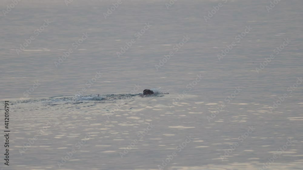 Unrecognizable person swimming in the serene ocean at daytime. Unrecognizable person swimming in the serene ocean at daytime.