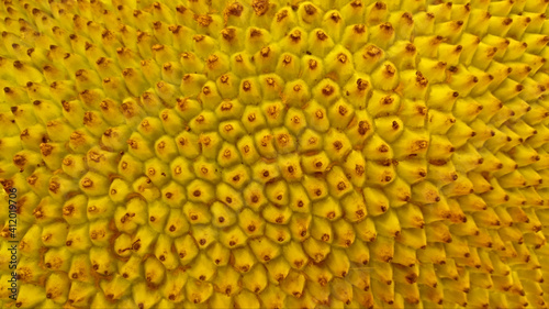 yellow fruit  texture  nature  produce  veggie  vegetable  vegetarian  organic  macro  close-up  detail  blossom  pattern  abstract  beautiful