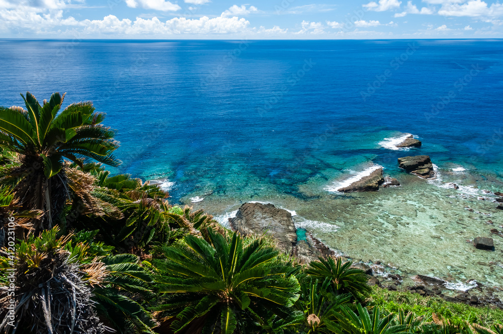 Stunning landscape  seen from a cliff where you can see a lush coral reef, rocks formation, a breathtaking transparent blue sea horizon and come sago palm on foreground. Yonaguni Island.