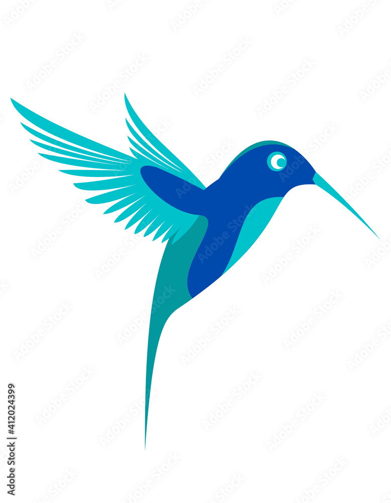 Fototapeta premium Light Blue and Dark Humming Bird