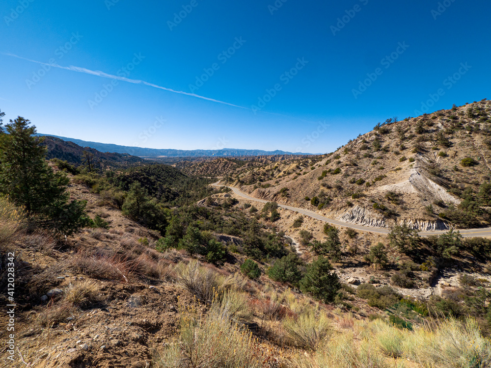 Winding road cutting Through Frazier Park Forest in California