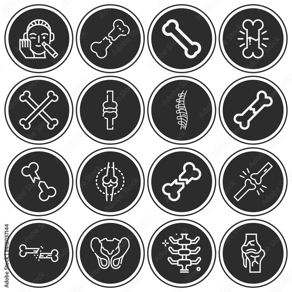 16 pack of cartilage lineal web icons set 16 pack of cartilage lineal web icons set