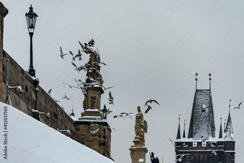 Fototapeta premium snow-covered street lights on Charles Bridge and a flock of seagulls in the sky near the bridge on the Vltava river in the center of Prague during the winter 