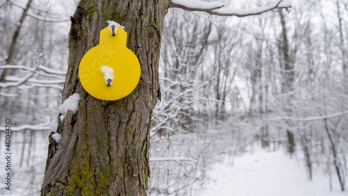 Wallpaper Mural yellow trail marker nailed to snowy tree. Winter scene in forest with hiking trails Torontodigital.ca