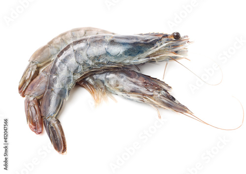 shrimps on a white background  © zcy