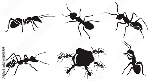 Ant Silhouette vector. symbol icons Ant illustration. black and white bakcground  © Infinity Design