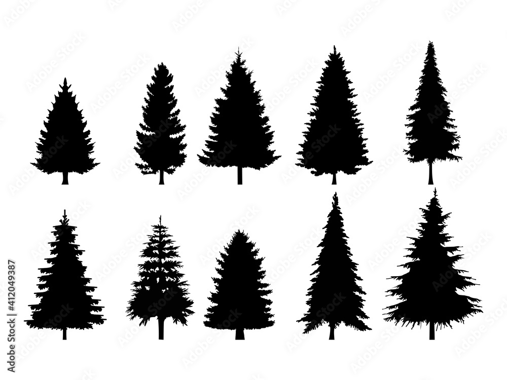 Set of Pine Trees Silhouette Isolated on a white background. Vector Illustration.