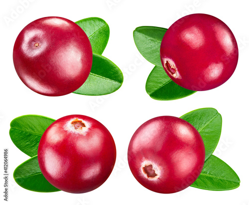 Ripe cranberry collection with green leaf clipping path. Organic fresh cranberry isolated on white. Full depth of field