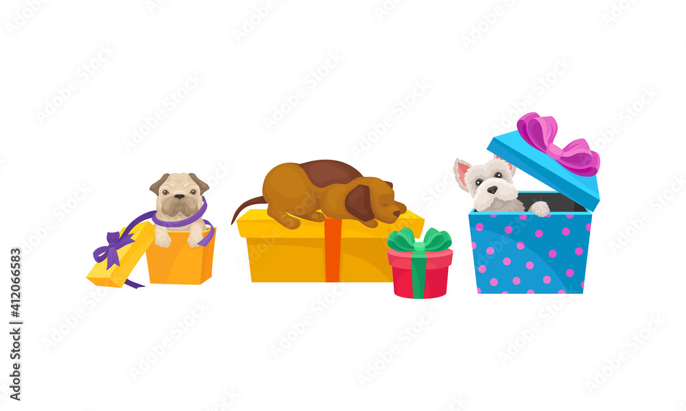 Naklejka premium Domestic Dog Pet with Christmas Symbols Vector Set