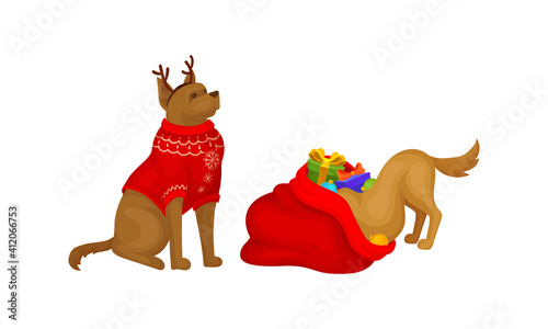 Domestic Dog Pet with Christmas Symbols Vector Set